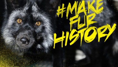 make fur history